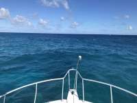 Great day of scuba diving in Key Largo with Rainbow Reef on molasses reef tropical serenity 2018 10 19 r7304 1