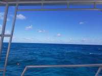 Great day of scuba diving in Key Largo with Rainbow Reef on north star tropical legend 2018 10 19 r7303 1