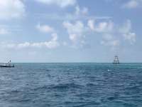 Great day of scuba diving in Key Largo with Rainbow Reef on north star tropical voyager 2018 10 12 r7269 1