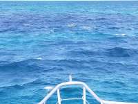Great day of scuba diving in Key Largo with Rainbow Reef on sand island tropical odyssey 2018 10 28 r7374 1