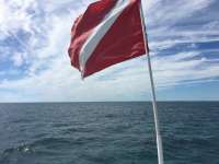Great day of scuba diving in Key Largo with Rainbow Reef on snapper ledge tropical legend 2018 10 28 r7373 1