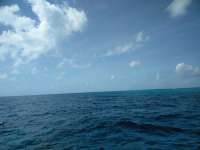 Great day of scuba diving in Key Largo with Rainbow Reef on spanish anchor tropical odyssey 2018 10 23 r7333 1