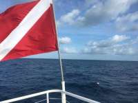 Great day of scuba diving in Key Largo with Rainbow Reef on spiegel grove tropical adventure 2018 10 23 r7330 1