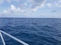 Great day of scuba diving in Key Largo with Rainbow Reef on spiegel grove tropical explorer 2018 10 23 r7334 1