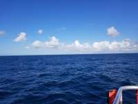 Great day of scuba diving in Key Largo with Rainbow Reef on spiegel grove tropical odyssey 2018 10 02 r7181 1