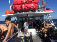 Great day of scuba diving in Key Largo with Rainbow Reef on spiegel grove tropical odyssey 2018 10 21 r7321 1