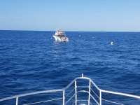 Great day of scuba diving in Key Largo with Rainbow Reef on spiegel grove tropical odyssey 2018 10 24 r7336 1