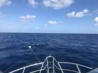 Great day of scuba diving in Key Largo with Rainbow Reef on uscgc duane tropical adventure 2018 10 05 r7228 1