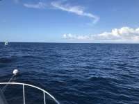 Great day of scuba diving in Key Largo with Rainbow Reef on uscgc duane tropical destiny 2018 10 27 r7356 1
