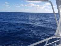 Great day of scuba diving in Key Largo with Rainbow Reef on uscgc duane tropical legend 2018 10 31 r7391 1