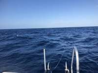 Great day of scuba diving in Key Largo with Rainbow Reef on uscgc duane tropical odyssey 2018 10 05 r7221 1