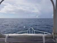 Great day of scuba diving in Key Largo with Rainbow Reef on uscgc duane tropical serenity 2018 10 04 r7216 1