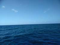 Great day of scuba diving in Key Largo with Rainbow Reef on winch hole santana 2018 10 05 r7223 1