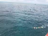 Great day of scuba diving in Key Largo with Rainbow Reef on christ statue tropical destiny 2018 09 08 r7013 1