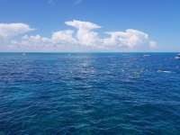 Great day of scuba diving in Key Largo with Rainbow Reef on christ statue tropical destiny 2018 09 15 r7050 1
