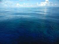 Great day of scuba diving in Key Largo with Rainbow Reef on christmastree cave santana 2018 09 15 r7043 1