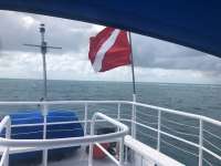 Great day of scuba diving in Key Largo with Rainbow Reef on christmastree cave tropical adventure 2018 09 02 r6984 1