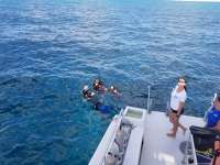 Great day of scuba diving in Key Largo with Rainbow Reef on christmastree cave tropical legend 2018 09 18 r7066 1