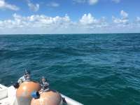 Great day of scuba diving in Key Largo with Rainbow Reef on christmastree cave tropical odyssey 2018 09 28 r7153 1