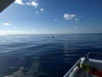 Great day of scuba diving in Key Largo with Rainbow Reef on city of washington santana 2018 09 22 r7095 1