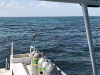 Great day of scuba diving in Key Largo with Rainbow Reef on conch wall tropical serenity 2018 09 25 r7130 1