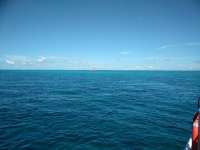 Great day of scuba diving in Key Largo with Rainbow Reef on drift molasses tropical odyssey 2018 09 14 r7035 1