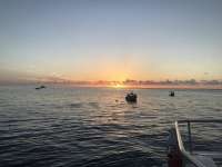 Great day of scuba diving in Key Largo with Rainbow Reef on eagle ray alley tropical destiny 2018 09 15 r7051 1
