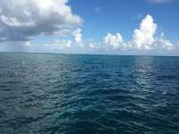 Great day of scuba diving in Key Largo with Rainbow Reef on eagle ray alley tropical legend 2018 09 24 r7114 1