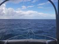 Great day of scuba diving in Key Largo with Rainbow Reef on eagle ray alley tropical serenity 2018 09 02 r6977 1