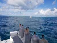 Great day of scuba diving in Key Largo with Rainbow Reef on eagle ray alley tropical voyager 2018 09 22 r7090 1