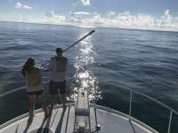 Great day of scuba diving in Key Largo with Rainbow Reef on french reef santana 2018 09 14 r7033 1