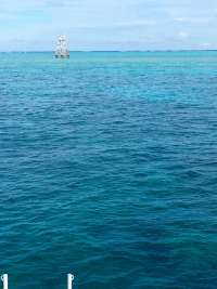 Great day of scuba diving in Key Largo with Rainbow Reef on french reef tropical legend 2018 09 19 r7075 1