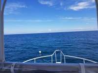 Great day of scuba diving in Key Largo with Rainbow Reef on hole in the wall santana 2018 09 23 r7108 1