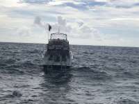 Great day of scuba diving in Key Largo with Rainbow Reef on molasses reef tropical adventure 2018 09 02 r6978 1