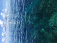 Great day of scuba diving in Key Largo with Rainbow Reef on molasses reef tropical legend 2018 09 20 r7079 1
