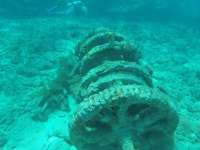 Great day of scuba diving in Key Largo with Rainbow Reef on molasses reef tropical serenity 2018 09 27 r7141 1
