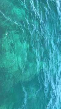 Great day of scuba diving in Key Largo with Rainbow Reef on north star tropical adventure 2018 09 28 r7154 1