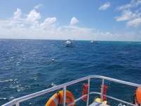 Great day of scuba diving in Key Largo with Rainbow Reef on north star tropical legend 2018 09 27 r7145 1