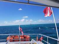 Great day of scuba diving in Key Largo with Rainbow Reef on north star tropical serenity 2018 09 28 r7152 1