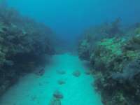 Great day of scuba diving in Key Largo with Rainbow Reef on pickle barrel wreck tropical serenity 2018 09 22 r7094 1