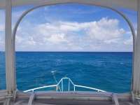 Great day of scuba diving in Key Largo with Rainbow Reef on pickles reef tropical serenity 2018 09 02 r6981 1