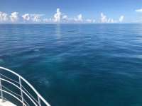 Great day of scuba diving in Key Largo with Rainbow Reef on snapper ledge tropical legend 2018 09 14 r7034 1