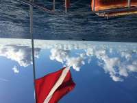 Great day of scuba diving in Key Largo with Rainbow Reef on spanish anchor tropical legend 2018 09 19 r7070 1