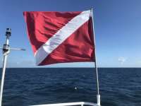 Great day of scuba diving in Key Largo with Rainbow Reef on spiegel grove tropical adventure 2018 09 28 r7150 1
