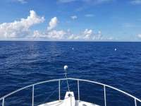 Great day of scuba diving in Key Largo with Rainbow Reef on spiegel grove tropical destiny 2018 09 19 r7071 1