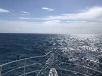 Great day of scuba diving in Key Largo with Rainbow Reef on spiegel grove tropical odyssey 2018 09 01 r6973 1