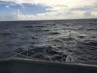 Great day of scuba diving in Key Largo with Rainbow Reef on spiegel grove tropical odyssey 2018 09 29 r7157 1