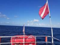 Great day of scuba diving in Key Largo with Rainbow Reef on spiegel grove tropical odyssey 2018 09 30 r7166 1
