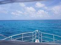 Great day of scuba diving in Key Largo with Rainbow Reef on the horseshoe tropical odyssey 2018 09 16 r7059 1