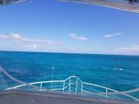 Great day of scuba diving in Key Largo with Rainbow Reef on the horseshoe tropical odyssey 2018 09 30 r7169 1